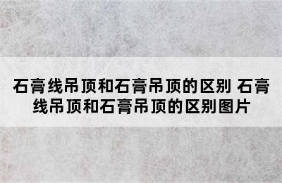 石膏线吊顶和石膏吊顶的区别 石膏线吊顶和石膏吊顶的区别图片